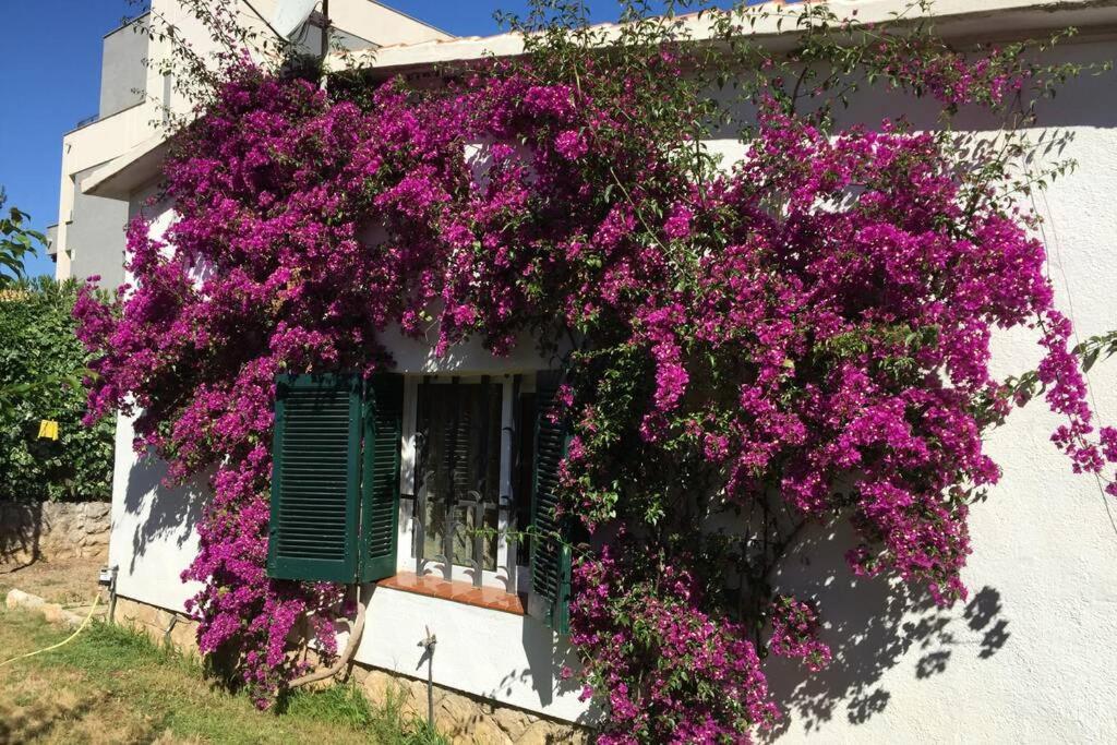 Villa La Casa Del Bosc, Playa Y Golf - Salou Extérieur photo